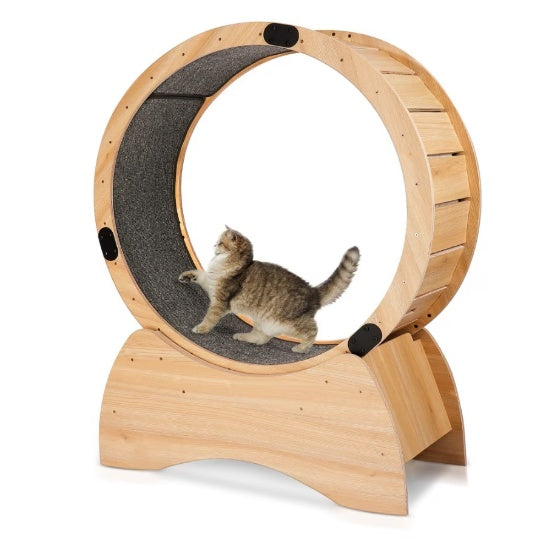 Cat Exercise Wheel & Scratching Sport Toy