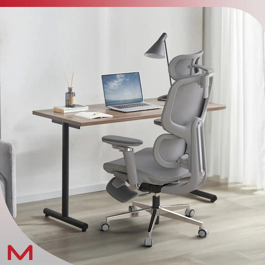 D2 Pro Ergonomic High-Back Mesh Office Chair