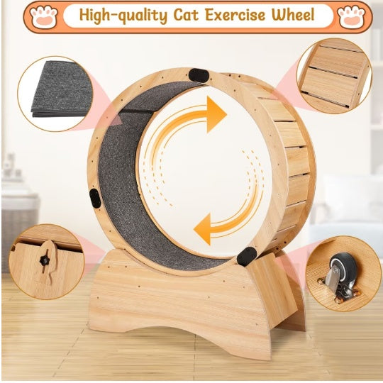 Cat Exercise Wheel & Scratching Sport Toy