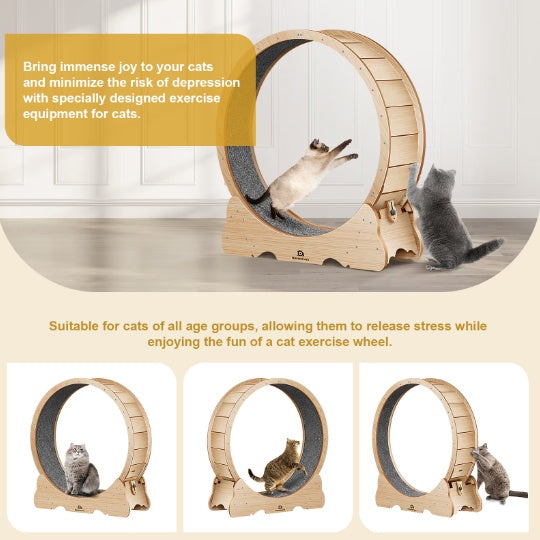 Cat Exercise Treadmill with Carpeted Runway