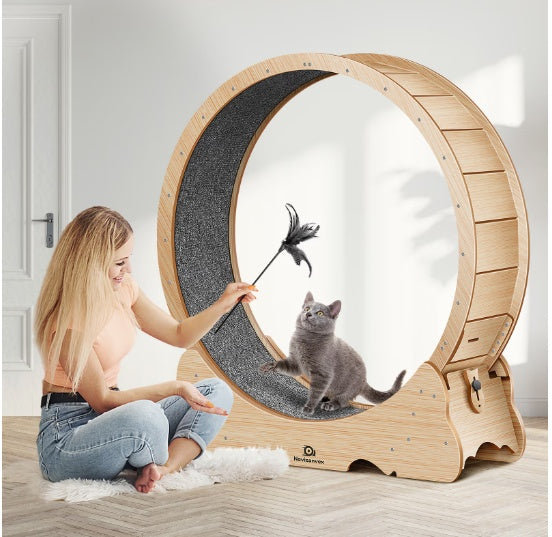 Cat Exercise Treadmill with Carpeted Runway