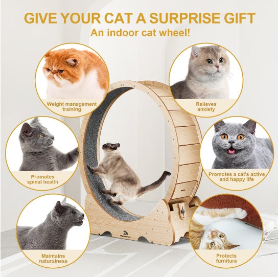 Cat Exercise Treadmill with Carpeted Runway