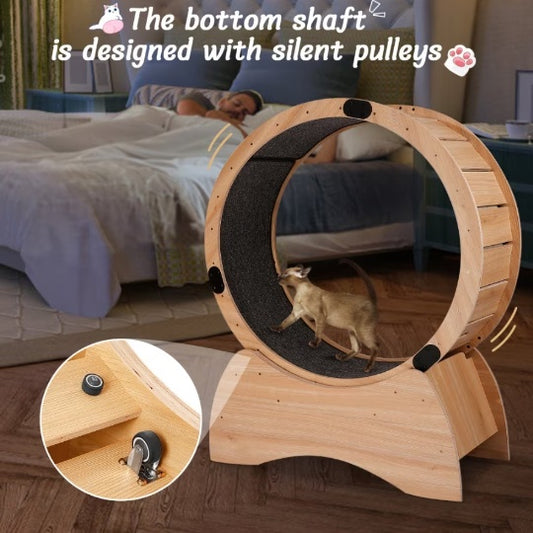 Cat Exercise Wheel & Scratching Sport Toy
