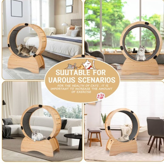 Cat Exercise Wheel & Scratching Sport Toy