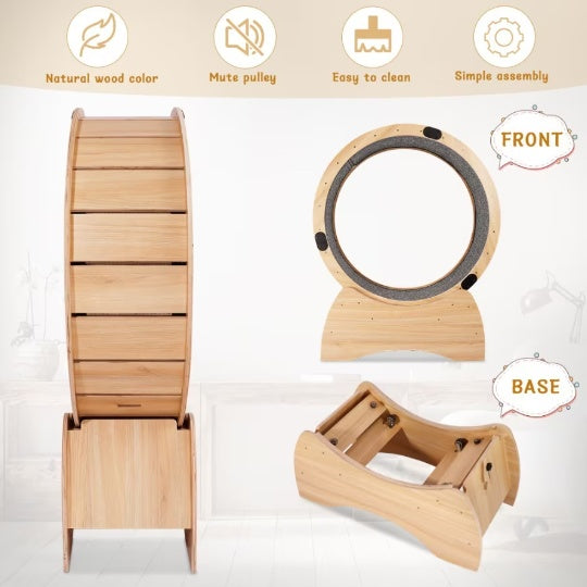 Cat Exercise Wheel & Scratching Sport Toy