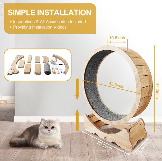 Cat Exercise Treadmill with Carpeted Runway