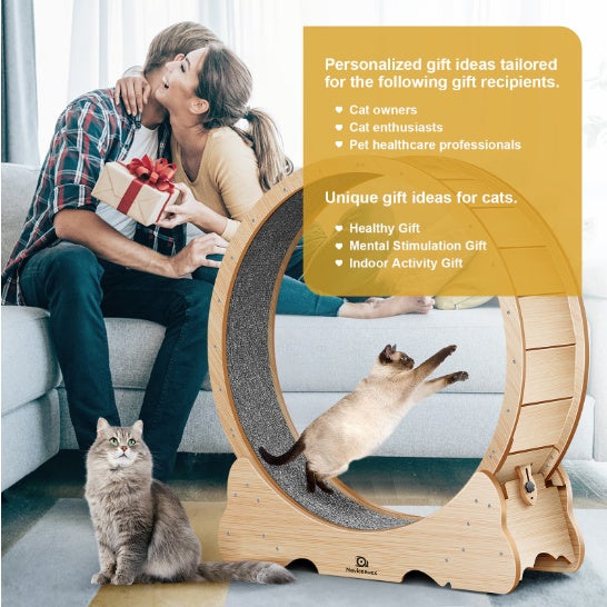 Cat Exercise Treadmill with Carpeted Runway