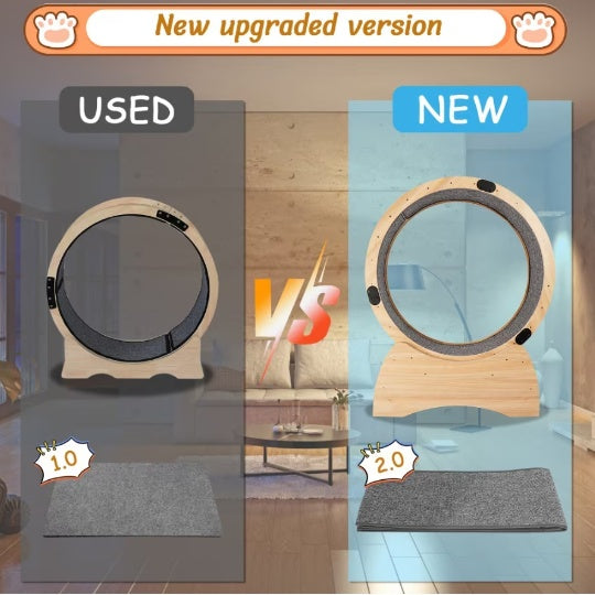 Cat Exercise Wheel & Scratching Sport Toy